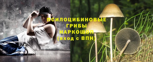 эйфоретик Балахна